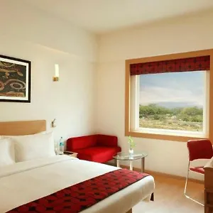 Palace-near Delhi Airport Hotel