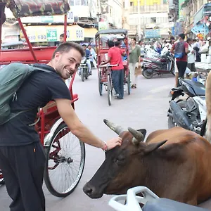 يس بوس باي باكباكرز هيفن نيودلهي