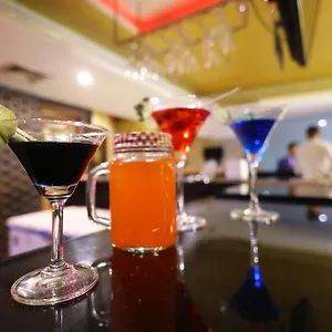 Airport Ramhan Palace Mahipalpur Nueva Delhi