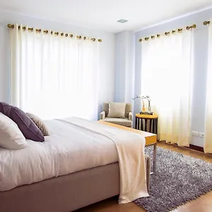 Hotel Airport Tulip Near Delhi Airport 4*