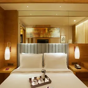 Ocean Near Delhi Airport Hotel 4*