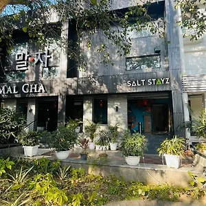 Hotel Saltstayz Select - Malcha & Chankyapuri 4*