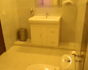 Shyama International 4* Yeni Delhi