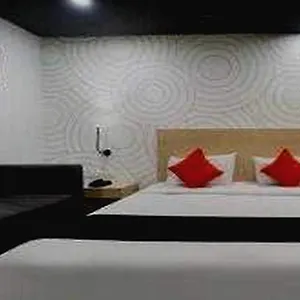 Collection O Creation 3*