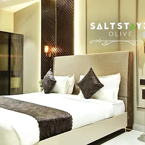 Saltstayz Select - Pitampura Hotel Delhi (National Capital Territory of India)