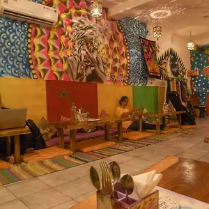 Gypsy Shelter Auberge de jeunesse New Delhi